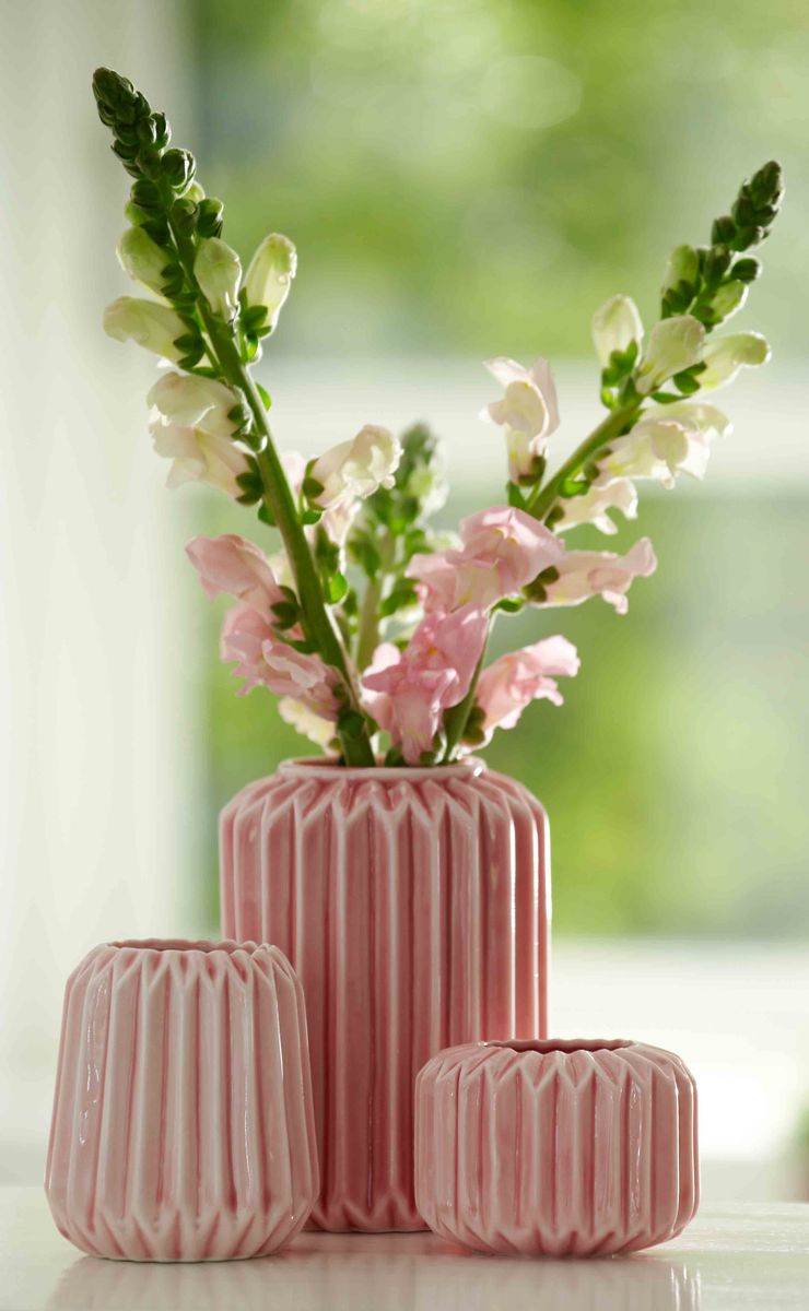 Produktfoto — pink vaser